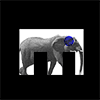 elephant_motion_icon_100px